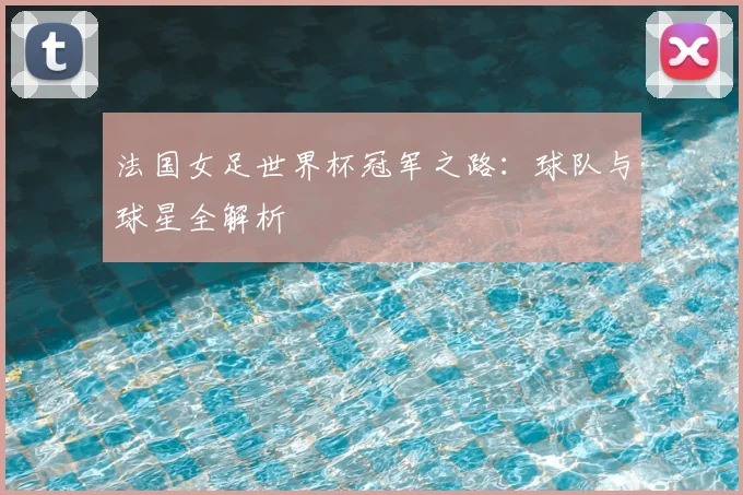法国女足世界杯冠军之路：球队与球星全解析