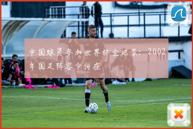 中国球员参加世界杯全记录:2002年国足阵容今何在