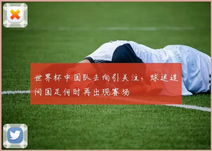 世界杯中国队去向引关注，球迷追问国足何时再出现赛场