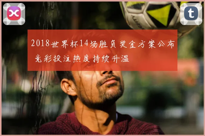 2018世界杯14场胜负奖金方案公布 竞彩投注热度持续升温
