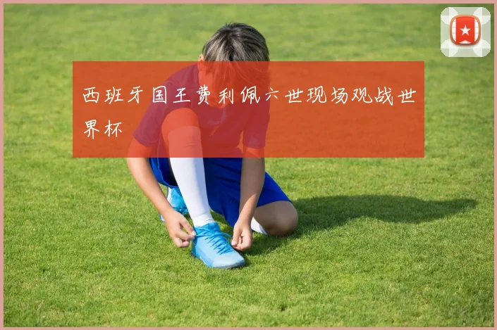 西班牙国王费利佩六世现场观战世界杯