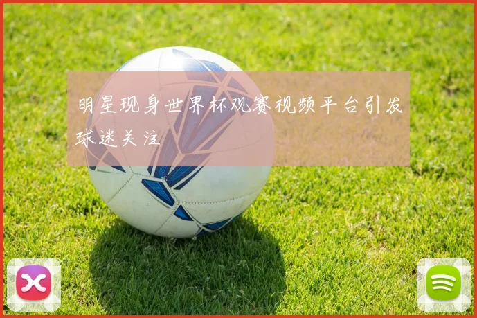 明星现身世界杯观赛视频平台引发球迷关注