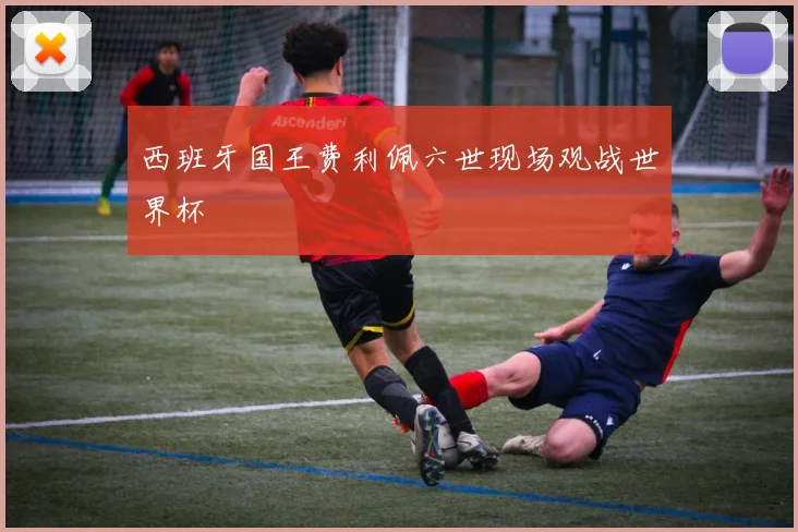 西班牙国王费利佩六世现场观战世界杯