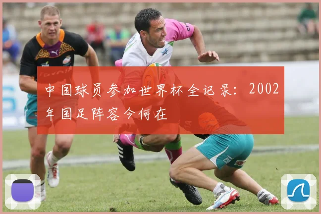 中国球员参加世界杯全记录：2002年国足阵容今何在