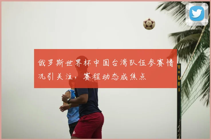 俄罗斯世界杯中国台湾队伍参赛情况引关注，赛程动态成焦点